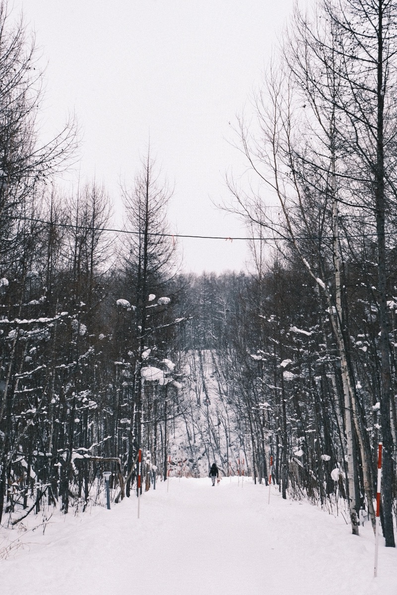 Hokkaido, Japan