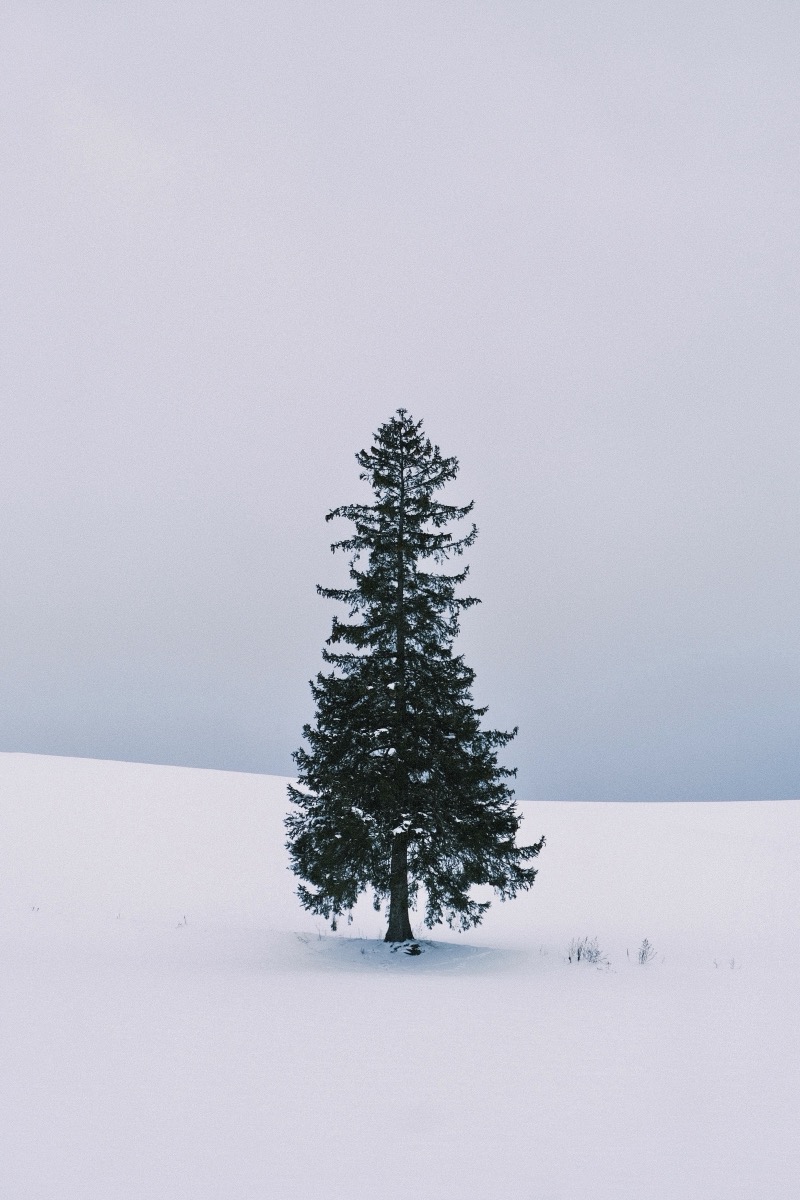 Hokkaido, Japan
